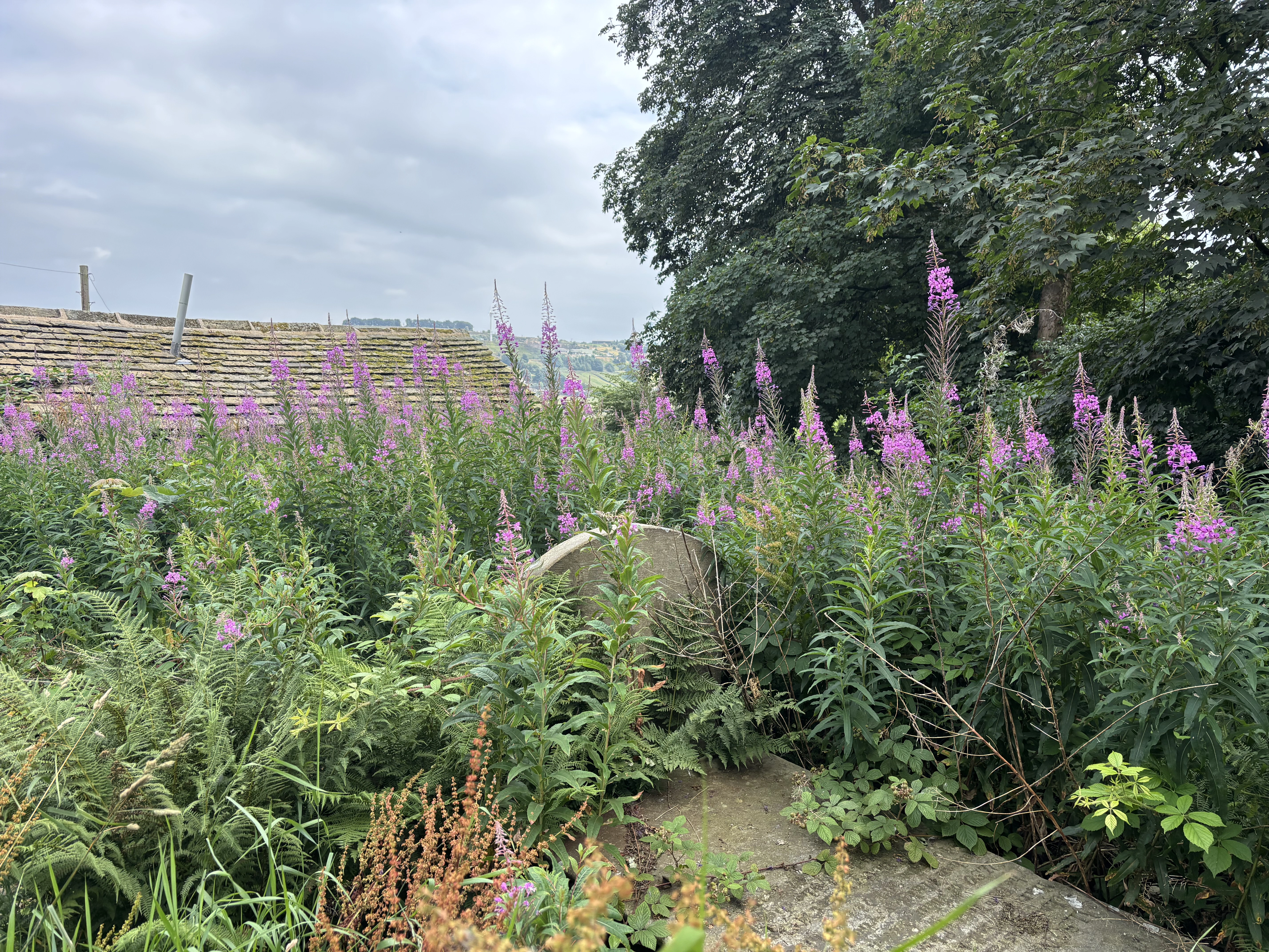 A view over Haworth in Brontë Country, the heart of literary Yorkshire